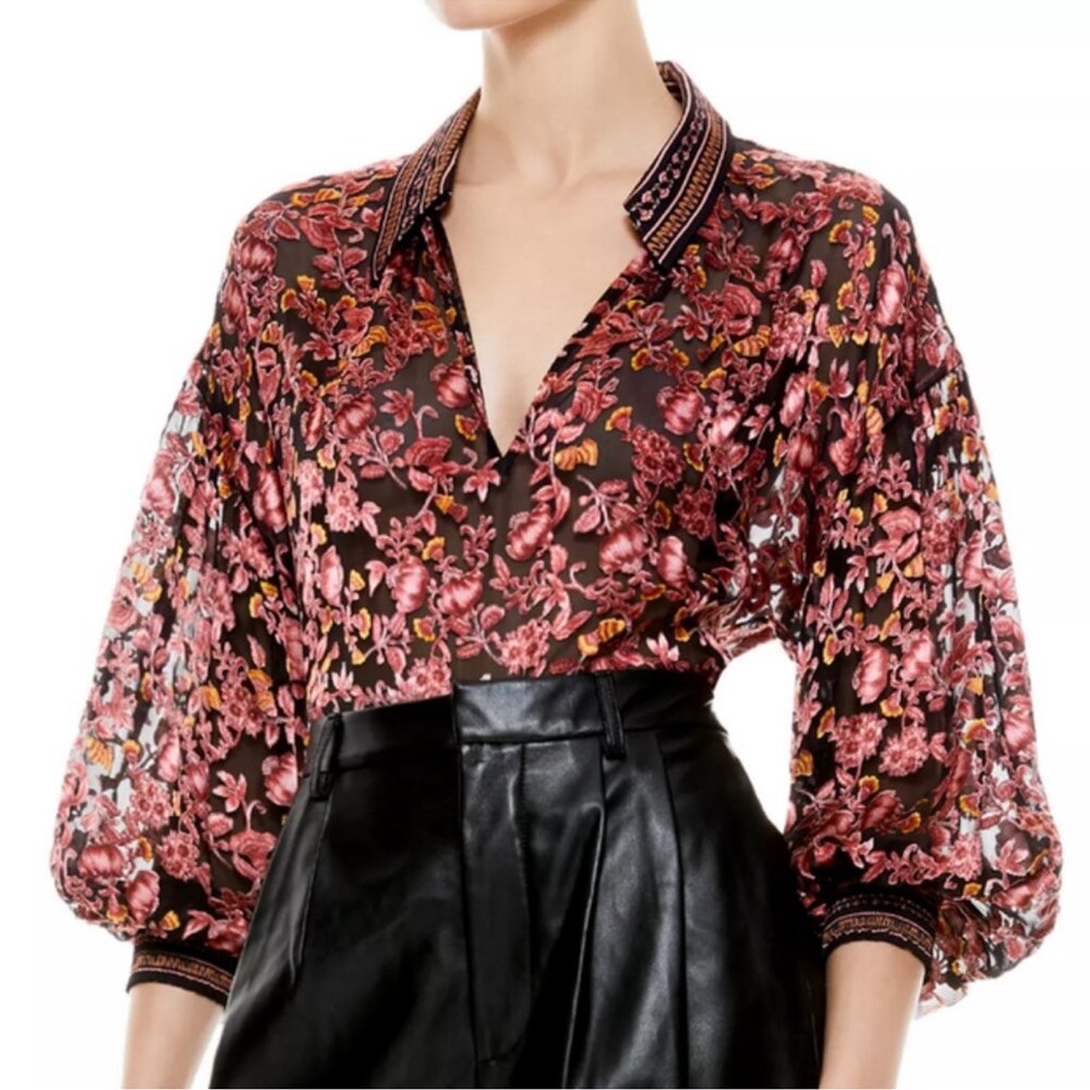 Alice Olivia burnout Elegant Red silk Women's Top Sz S, XS